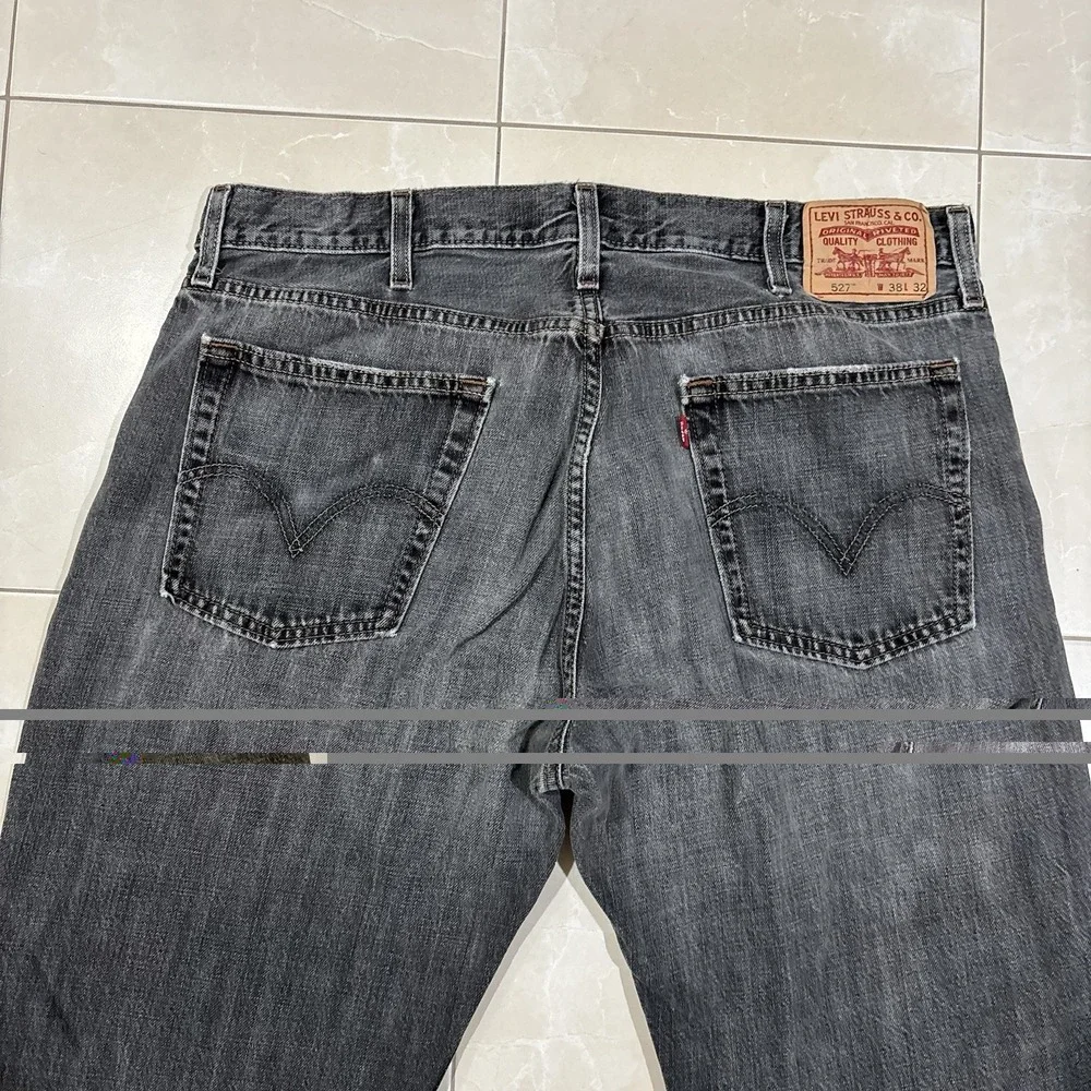 Levis levis 527